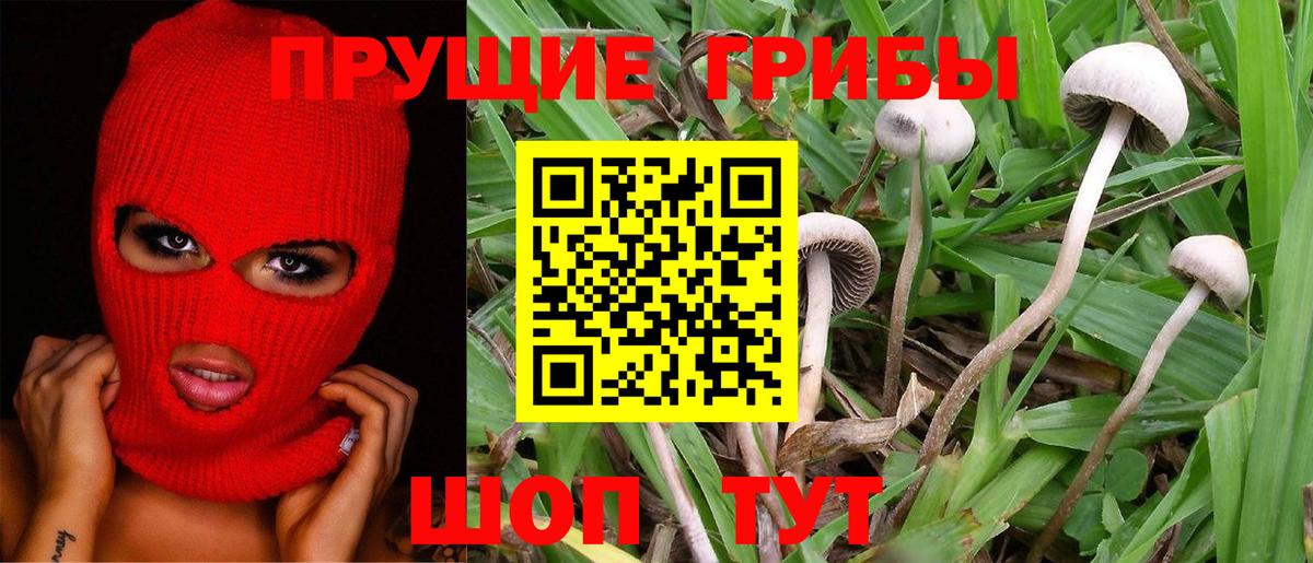 Псилоцибиновые грибы мухоморы  Вход с VPN  Топки 