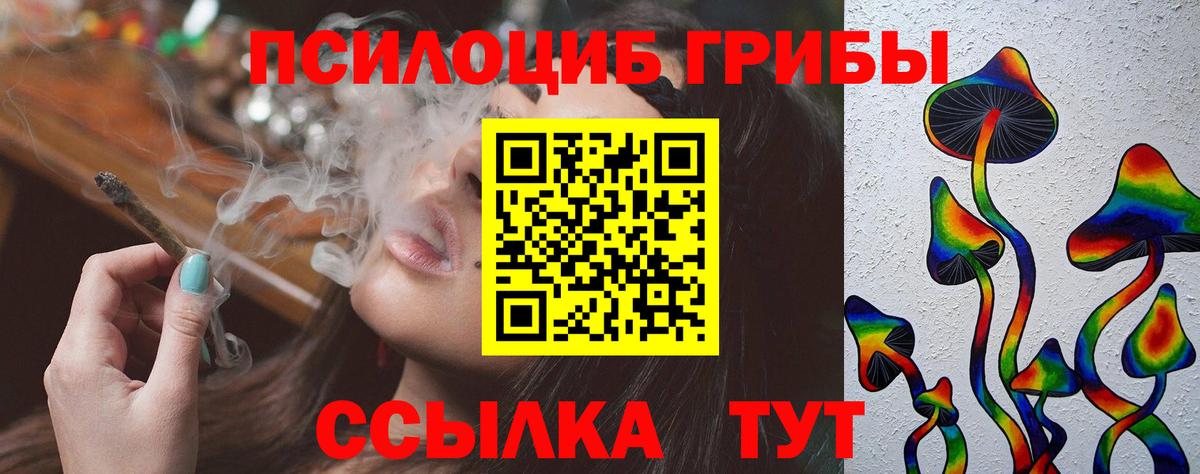 Псилоцибиновые грибы прущие грибы Топки